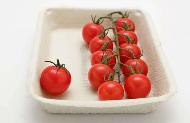 Tacka z pomidorami